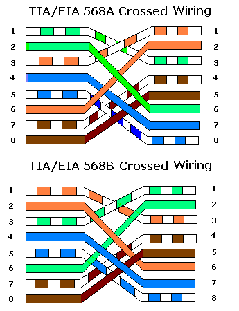 Crossover Ethernet Cable on Cross Over Cable     The Wires 1   3  2   6  Are Reversed  Use To